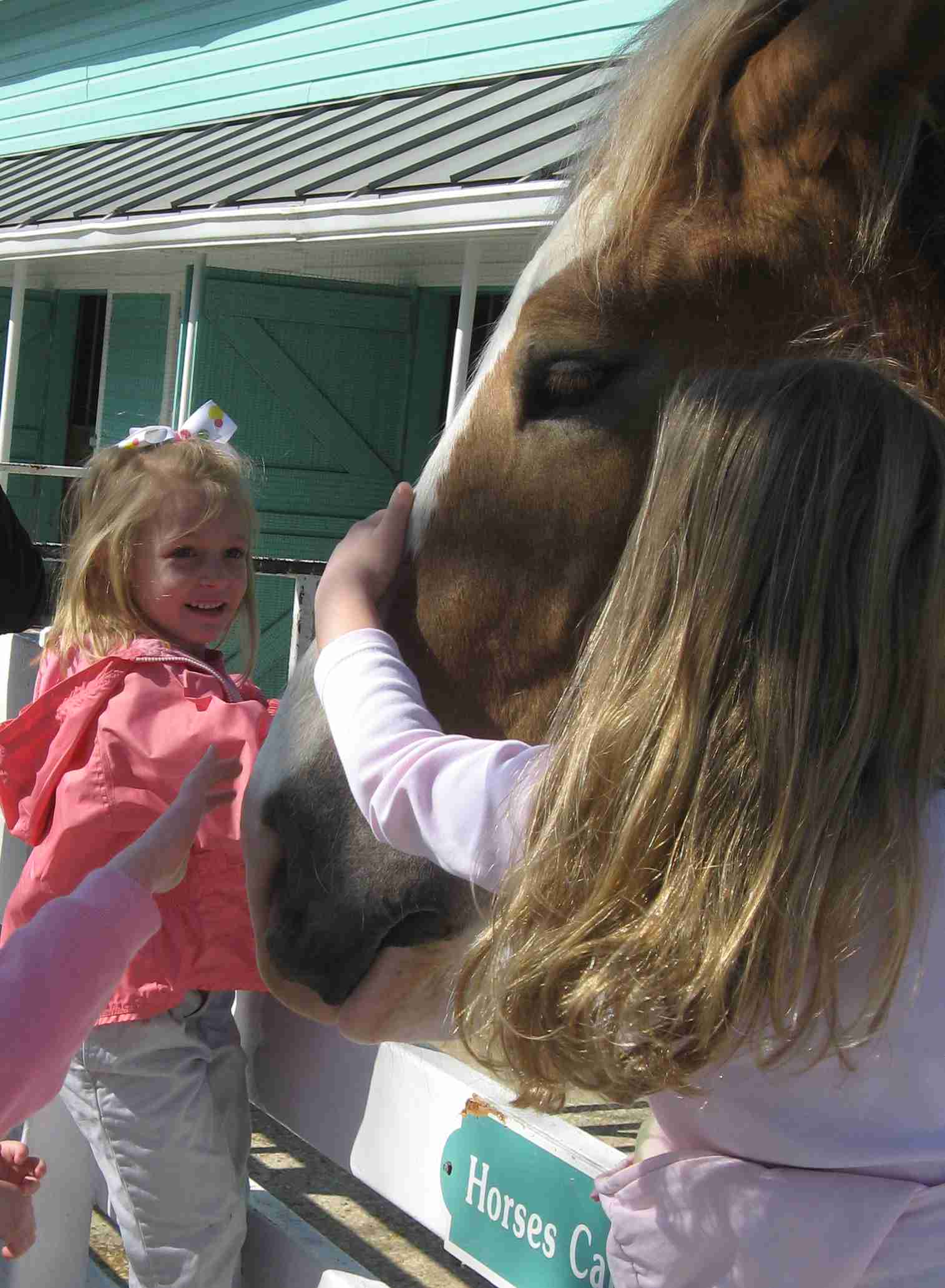 2009-03-26 Cate and a horse at Purina Farms.jpg